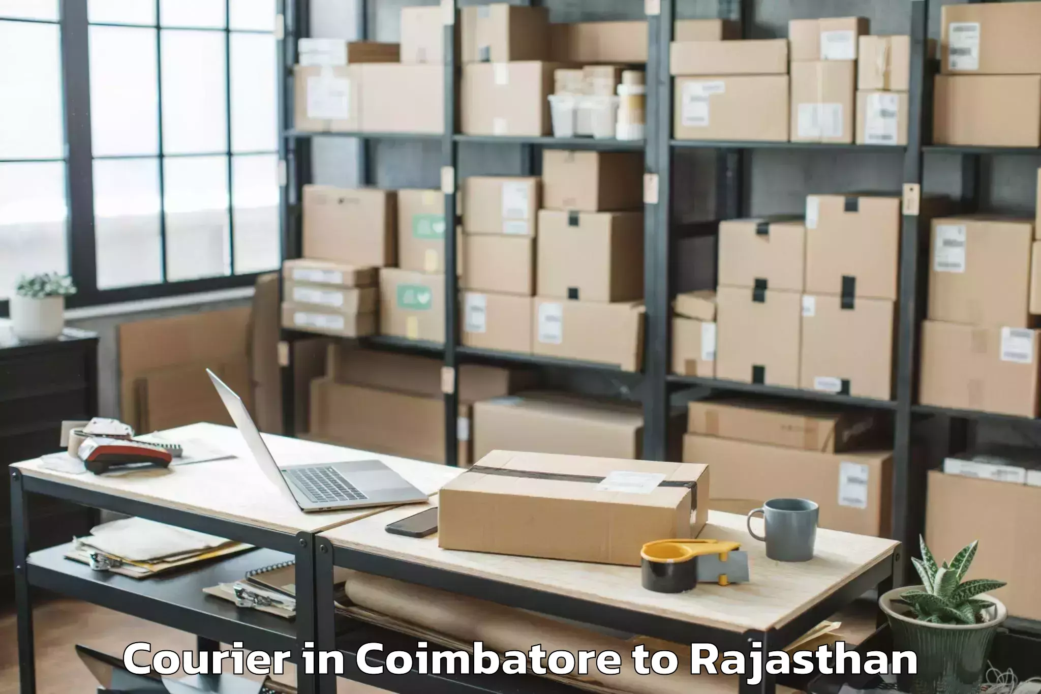 Book Your Coimbatore to Bhindar Courier Today